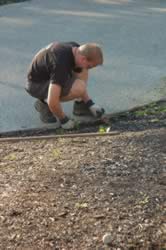 DSC_3450.jpg (192kb)