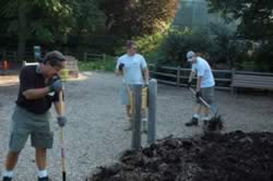 DSC_3466.jpg (183kb)