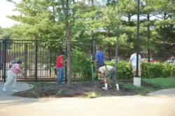 DSC_3495.jpg (219kb)