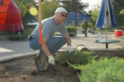 DSC_3515.jpg (157kb)