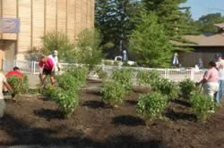 DSC_3569.jpg (225kb)