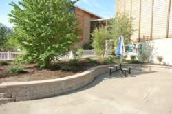 DSC_3576.jpg (213kb)