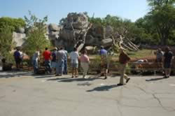 DSC_3615.jpg (153kb)