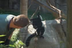 DSC_3622.jpg (105kb)