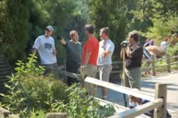 DSC_3642.jpg (184kb)