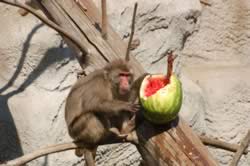 DSC_3656.jpg (139kb)