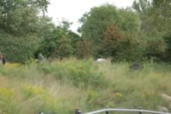 DSC_3691.jpg (173kb)