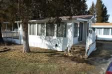 DSC_35519.jpg (245kb)