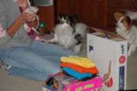 DSC_6710.jpg (130kb)