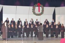 DSC_22610.jpg (134kb)