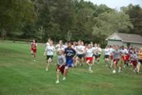 DSC_4903.jpg (184kb)