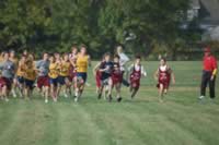 DSC_5343.jpg (141kb)