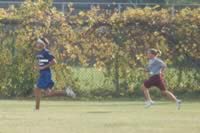 DSC_5405.jpg (181kb)