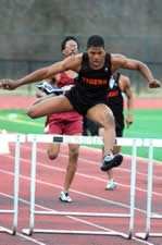 DSC_17853.jpg (79kb)