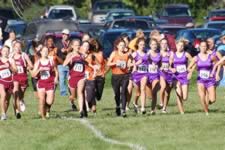 DSC_14171.jpg (224kb)