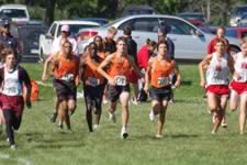 DSC_14252.jpg (193kb)