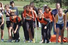 DSC_15715.jpg (192kb)