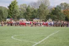 DSC_15750.jpg (195kb)