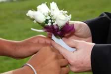 DSC_27269.jpg (110kb)