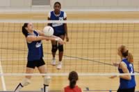 DSC_8117.jpg (143kb)