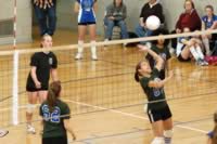 DSC_8291.jpg (180kb)