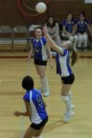DSC_8932.jpg (70kb)