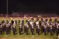 DSC_4318.jpg (105kb)