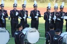 DSC_13738.jpg (179kb)