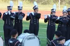 DSC_13743.jpg (171kb)