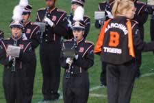 DSC_13788.jpg (188kb)