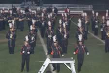 DSC_16192.jpg (155kb)