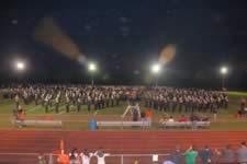 DSC_16222.jpg (118kb)