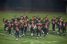 DSC_21328.jpg (168kb)