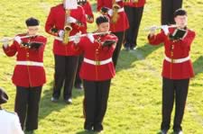 DSC_26381.jpg (125kb)