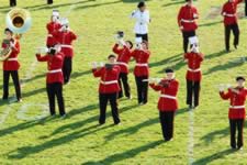 DSC_26404.jpg (254kb)