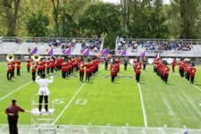 DSC_28417.jpg (252kb)