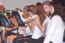 DSC_10962.jpg (119kb)