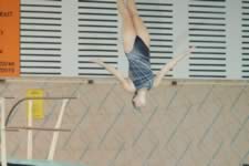 DSC_14007.jpg (97kb)