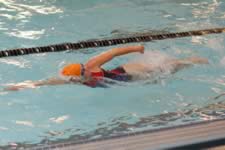 DSC_14039.jpg (131kb)