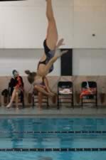 DSC_14060.jpg (57kb)