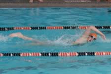 DSC_14083.jpg (140kb)