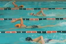 DSC_14087.jpg (135kb)