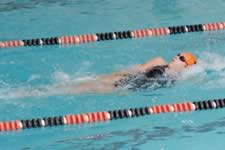 DSC_14111.jpg (146kb)