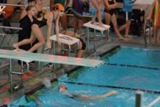 DSC_14124.jpg (170kb)