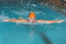 DSC_14872.jpg (135kb)