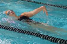 DSC_14873.jpg (182kb)