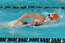 DSC_14929.jpg (164kb)