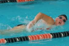 DSC_14930.jpg (144kb)