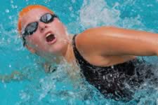 DSC_14967.jpg (172kb)