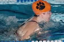 DSC_16808.jpg (178kb)